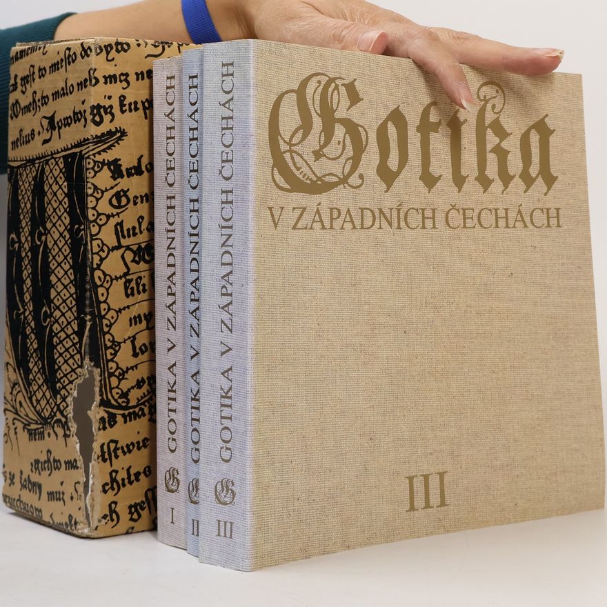 Autorenkollektiv Gotika v západních Čechách 1-3