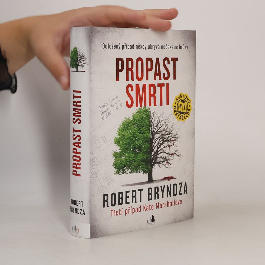 Robert Bryndza Propast smrti