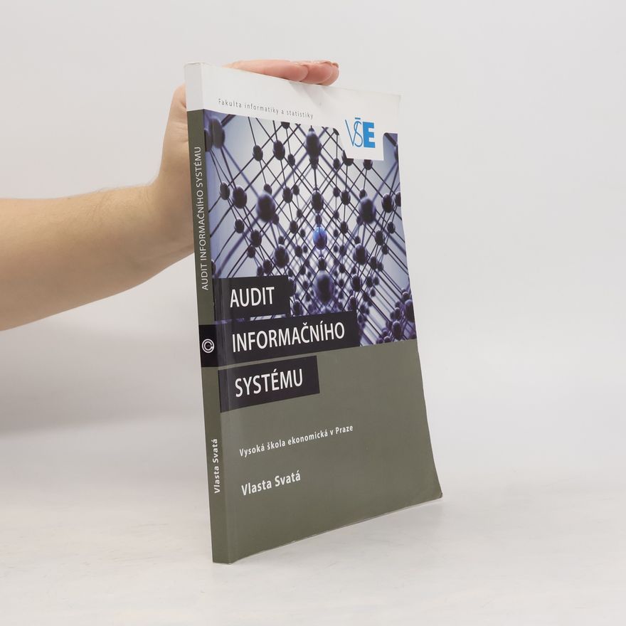 Vlasta Svatá Audit informačního systému