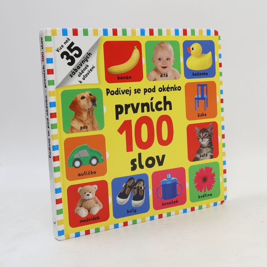 Autorenkollektiv Prvních 100 slov