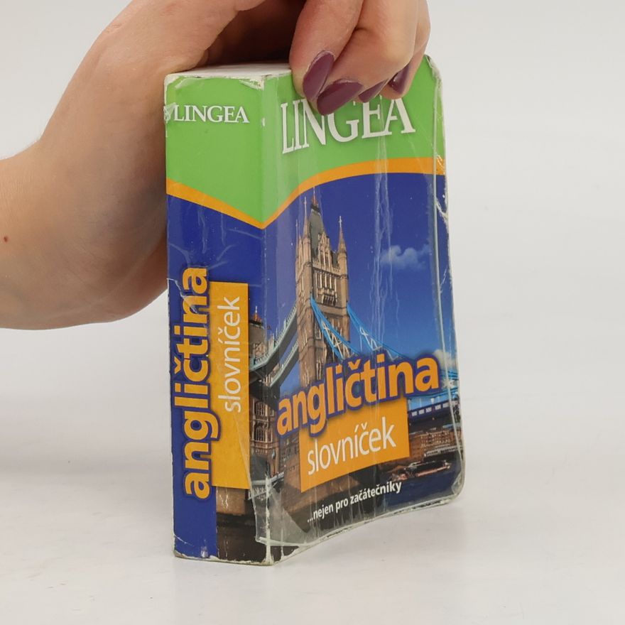Lingea Angličtina: slovníček