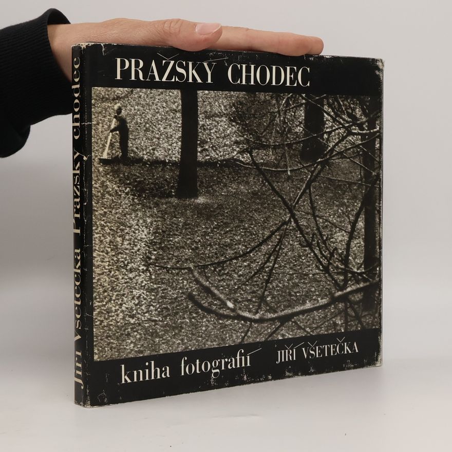 Jiří Všetečka Pražský chodec