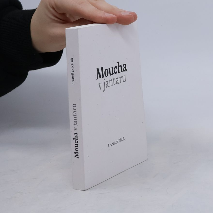 František Klišík Moucha v jantaru