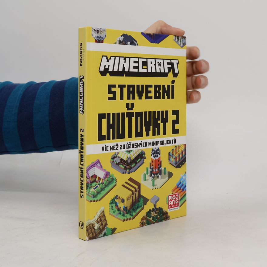 Vilém Zavadil Minecraft Stavební Chuťovky 2