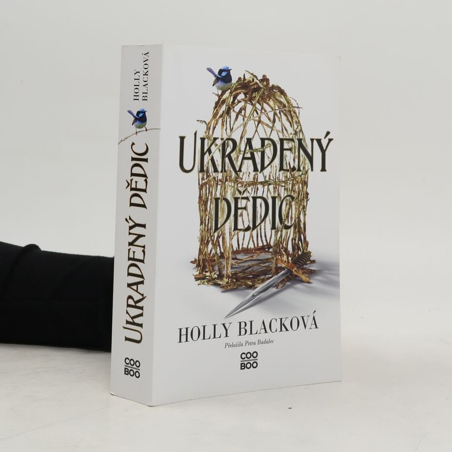 Holly Black Ukradený dědic