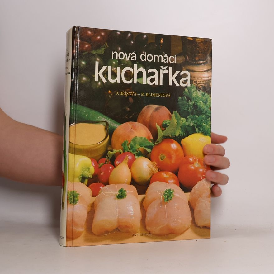 Joza Břízová Nová domácí kuchařka