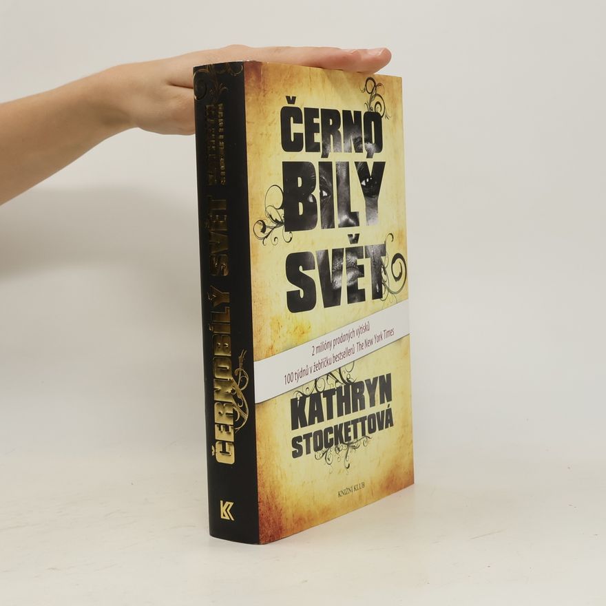 Kathryn Stockett Černobílý svět