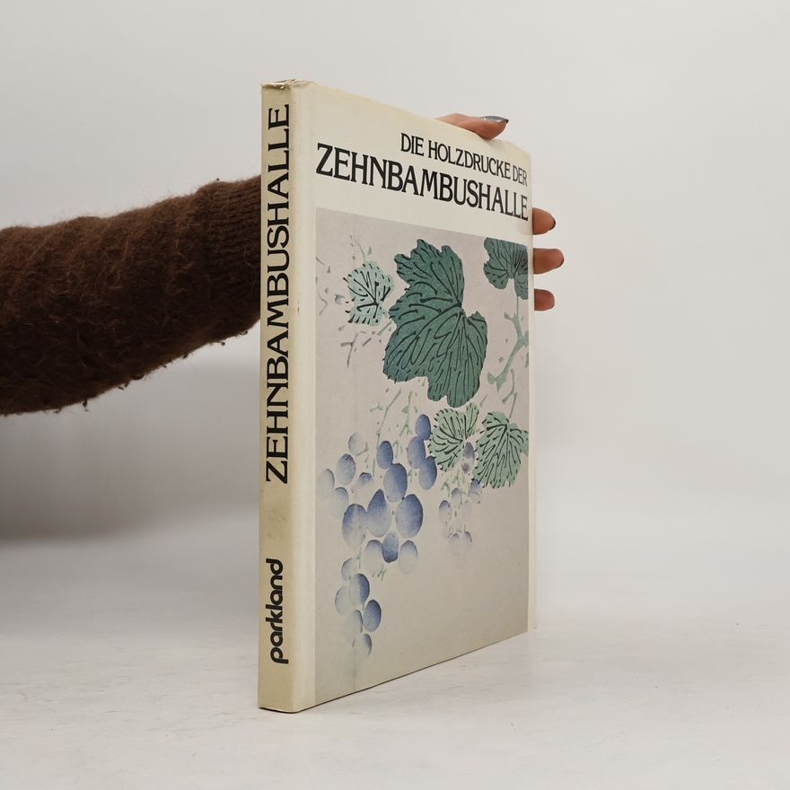 Kolektiv autorů Die Holzdrucke der Zehnbambushalle