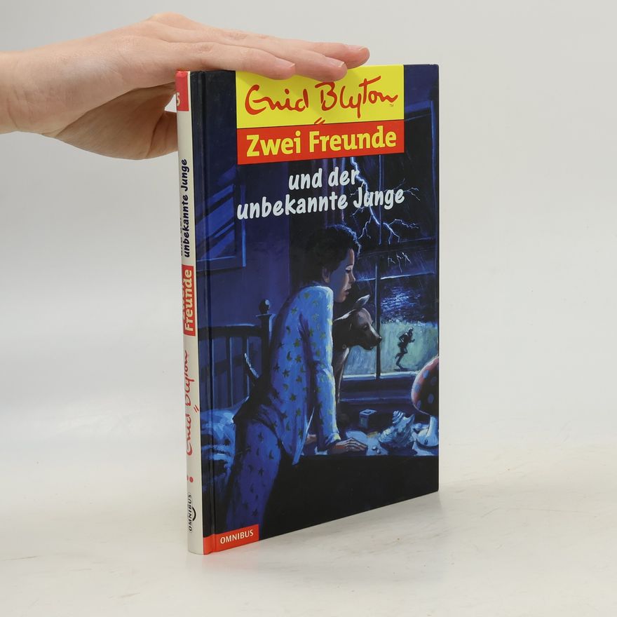 Enid Blyton Zwei Freunde und der unbekannte Junge