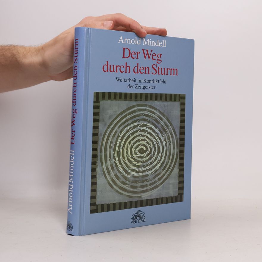 Arnold Mindell Der Weg durch den Sturm