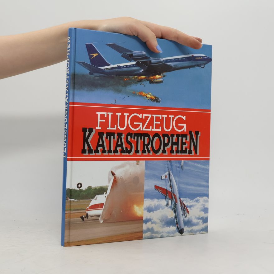 Autorenkollektiv Flugzeug Katastrophen