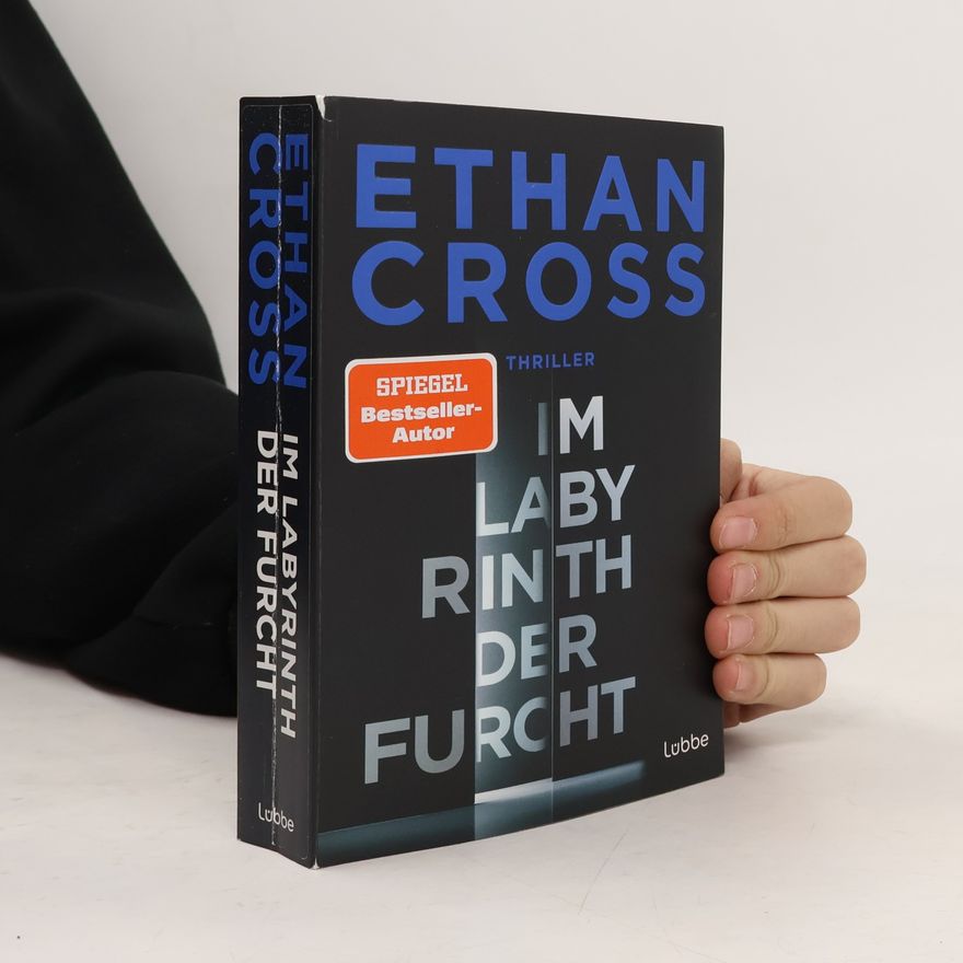 Ethan Cross Im Labyrinth der Furcht