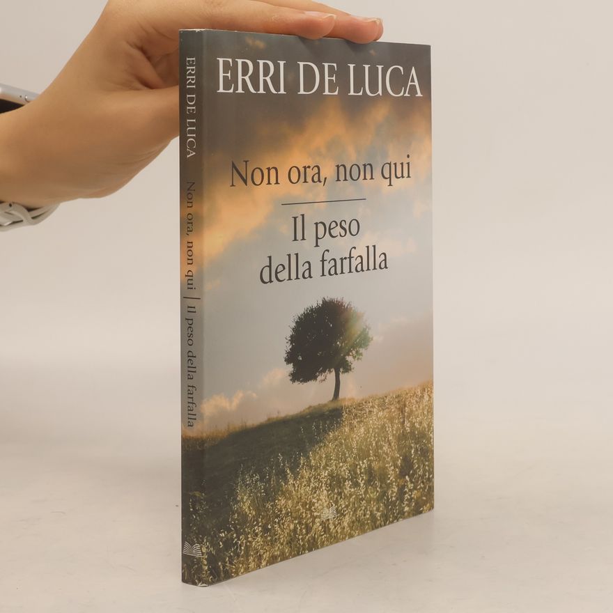 Erri De Luca Non ora, non qui. Il peso della farfalla