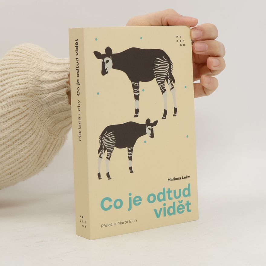 Mariana Leky Co je odtud vidět