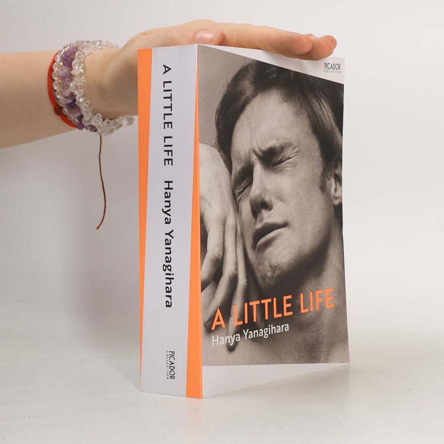 Hanya Yanagihara A Little Life