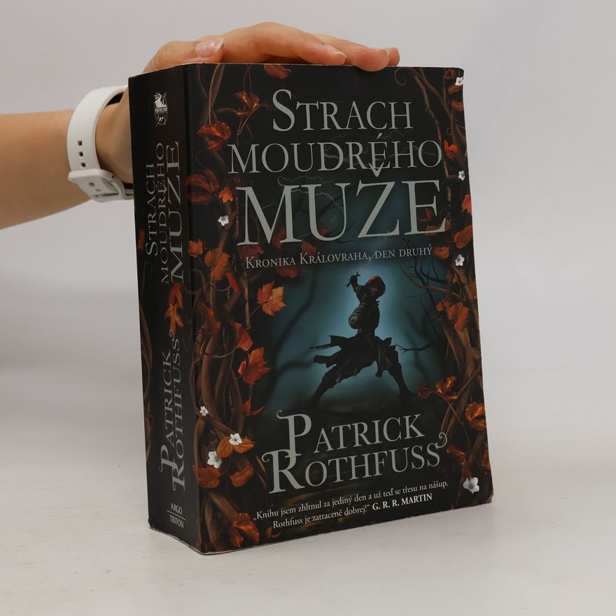 Patrick Rothfuss Strach moudrého muže