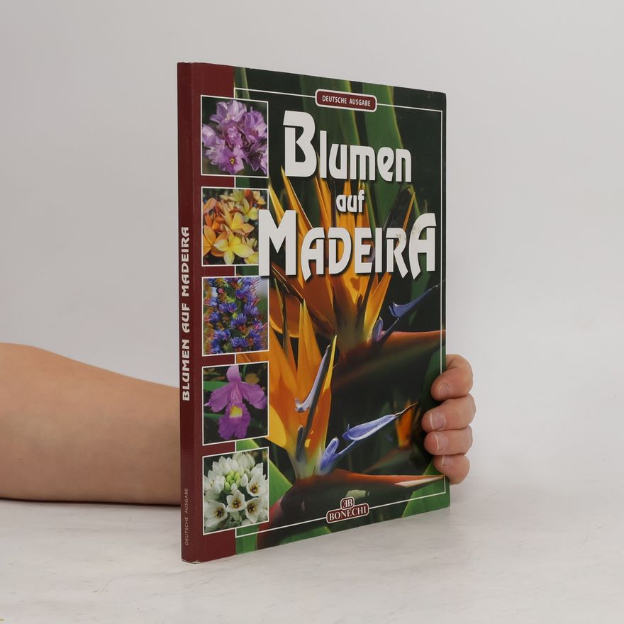 Andrea Innocenti Blumen auf Madeira