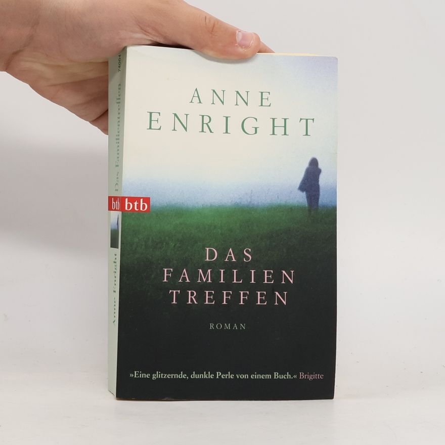 Anne Enright Das Familien Treffen