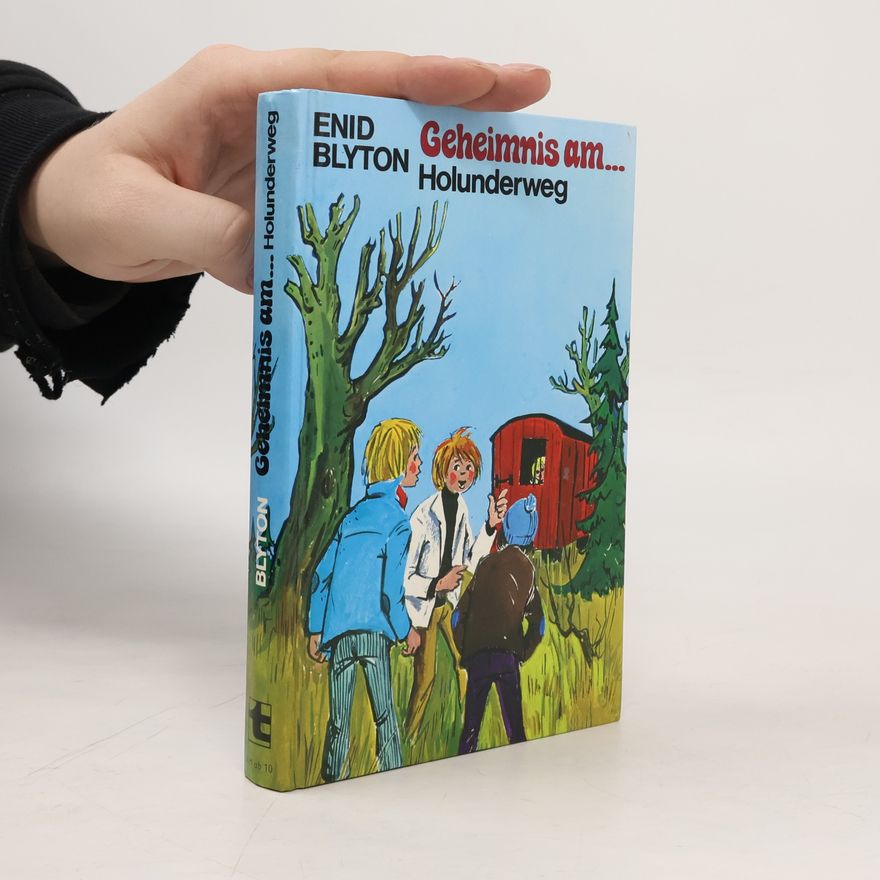 Enid Blyton Geheimnis am Holunderweg