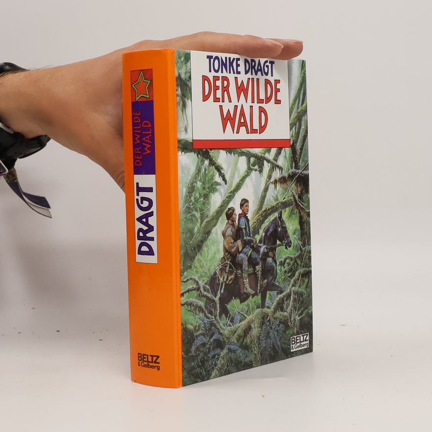 Tonke Dragt Der wilde Wald