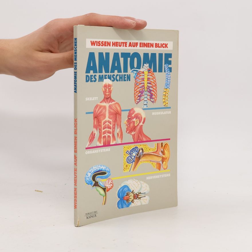 Autorenkollektiv Anatomie des menschen