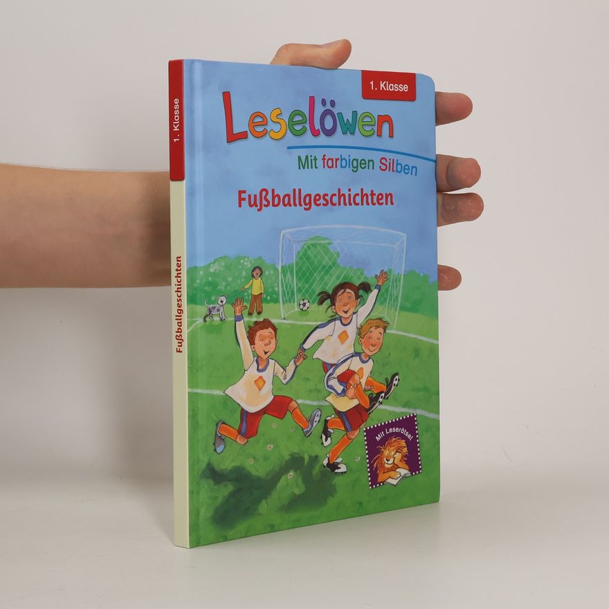 Kolektiv autorů Fußballgeschichten