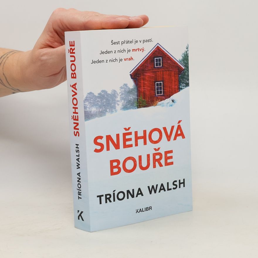 Tríona Walsh Sněhová bouře