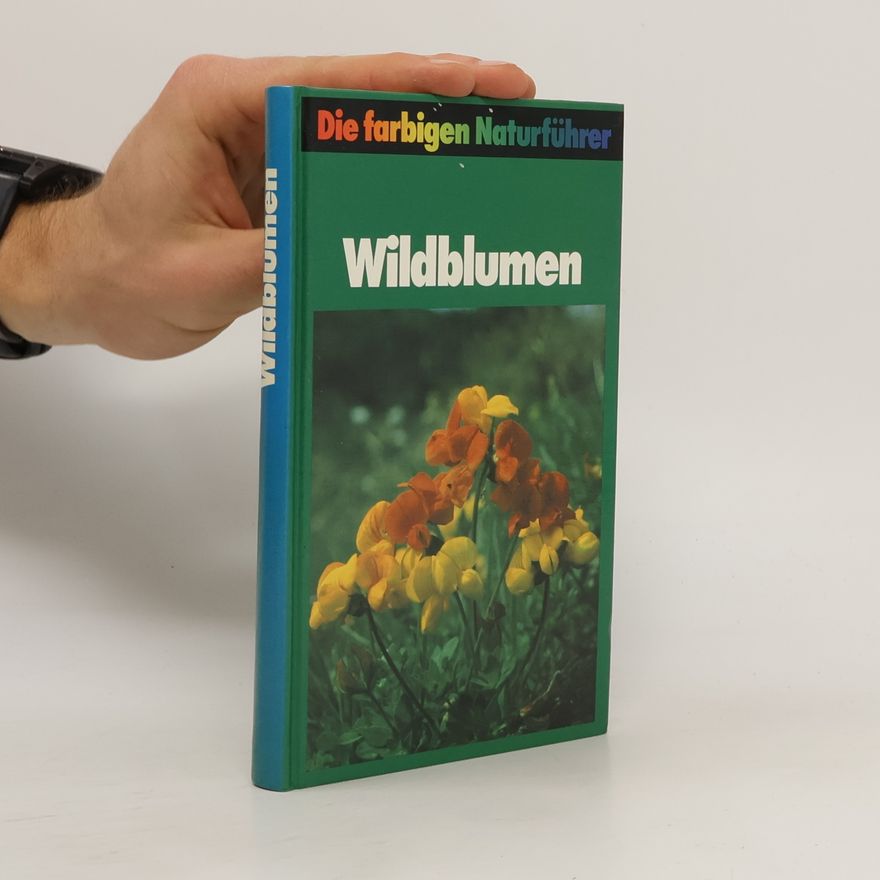 Kolektiv autorů Wildblumen
