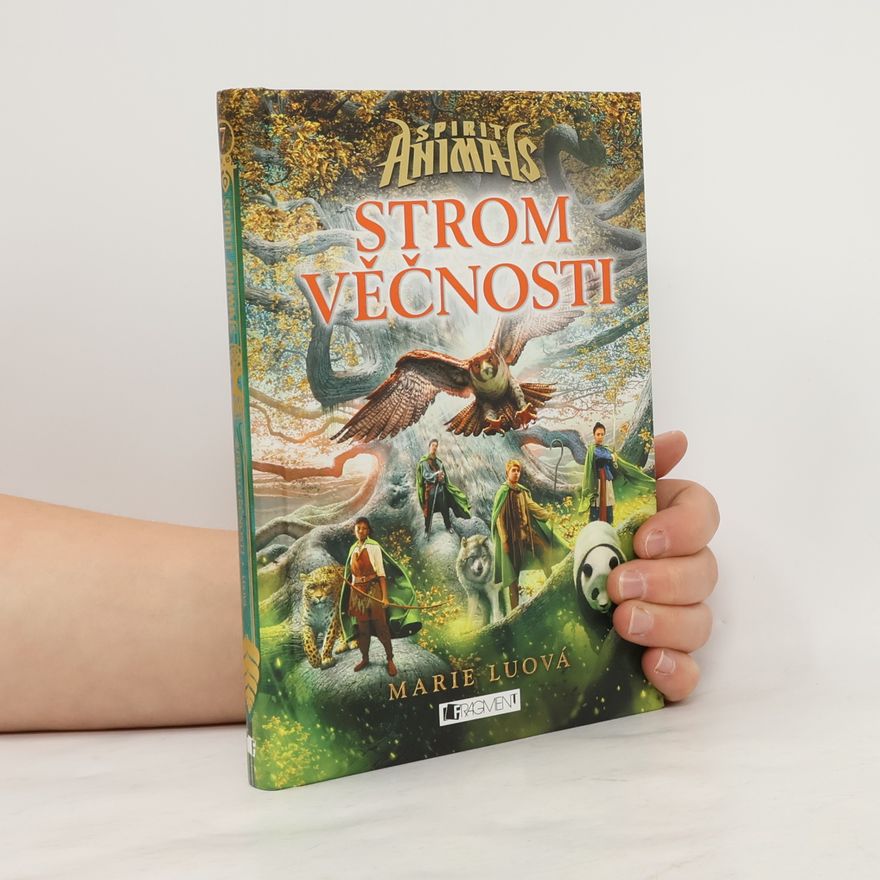 Marie Lu Strom věčnosti