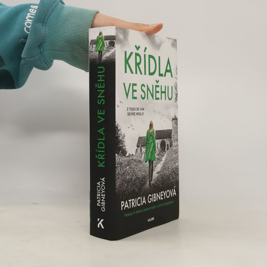 Patricia Gibney Křídla ve sněhu