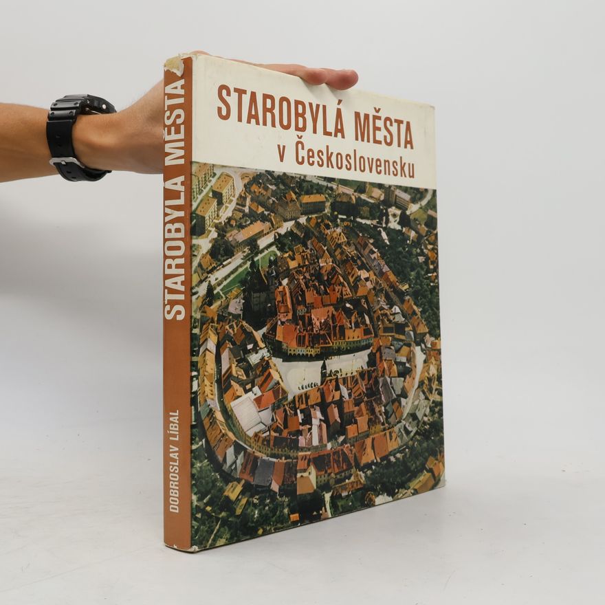Dobroslav Líbal Starobylá města v Československu