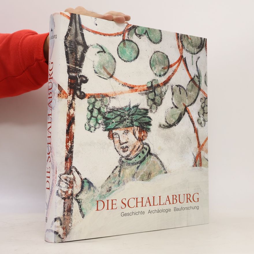 Peter Aichinger Rosenberger Die Schallaburg