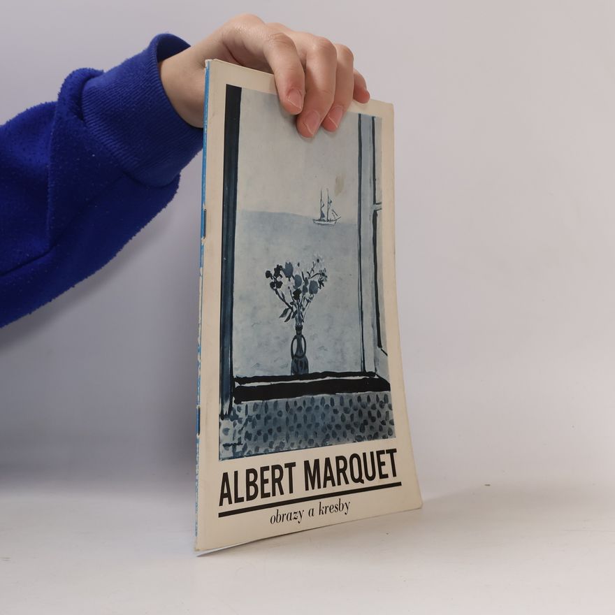 Kolektiv autorů Albert Marquet: obrazy a kresby