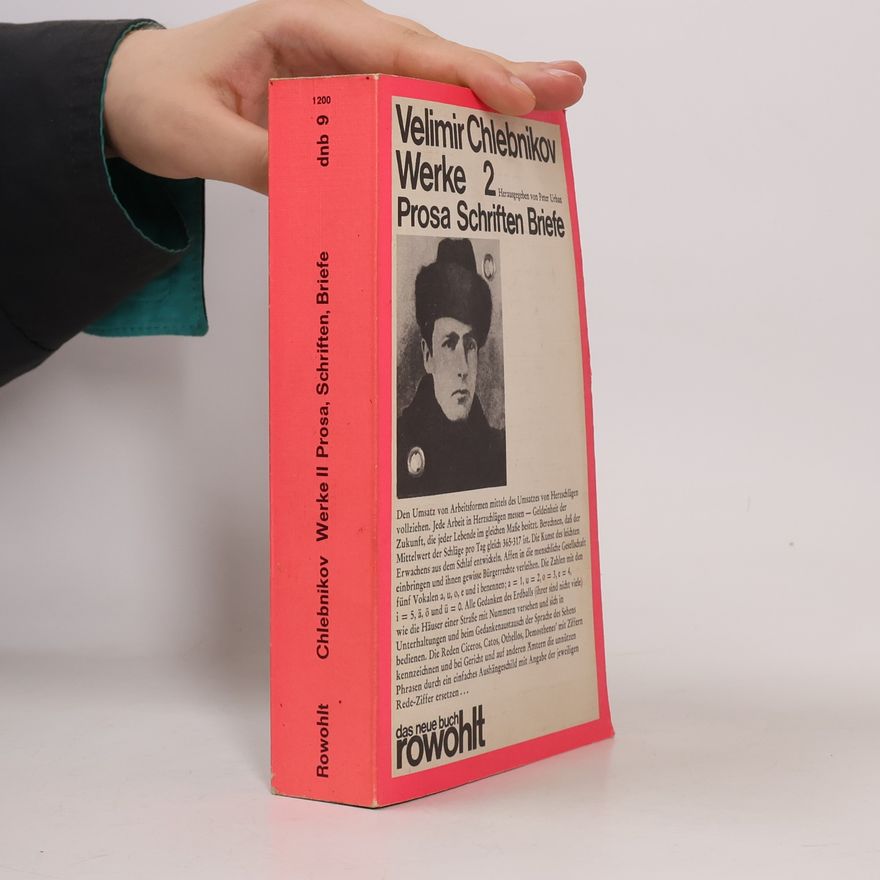 Velimir Khlebnikov Werke 2: Prosa, Schriften, Briefe