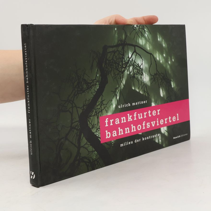 Ulrich Mattner Frankfurter Bahnhofsviertel - Milieu der Kontraste