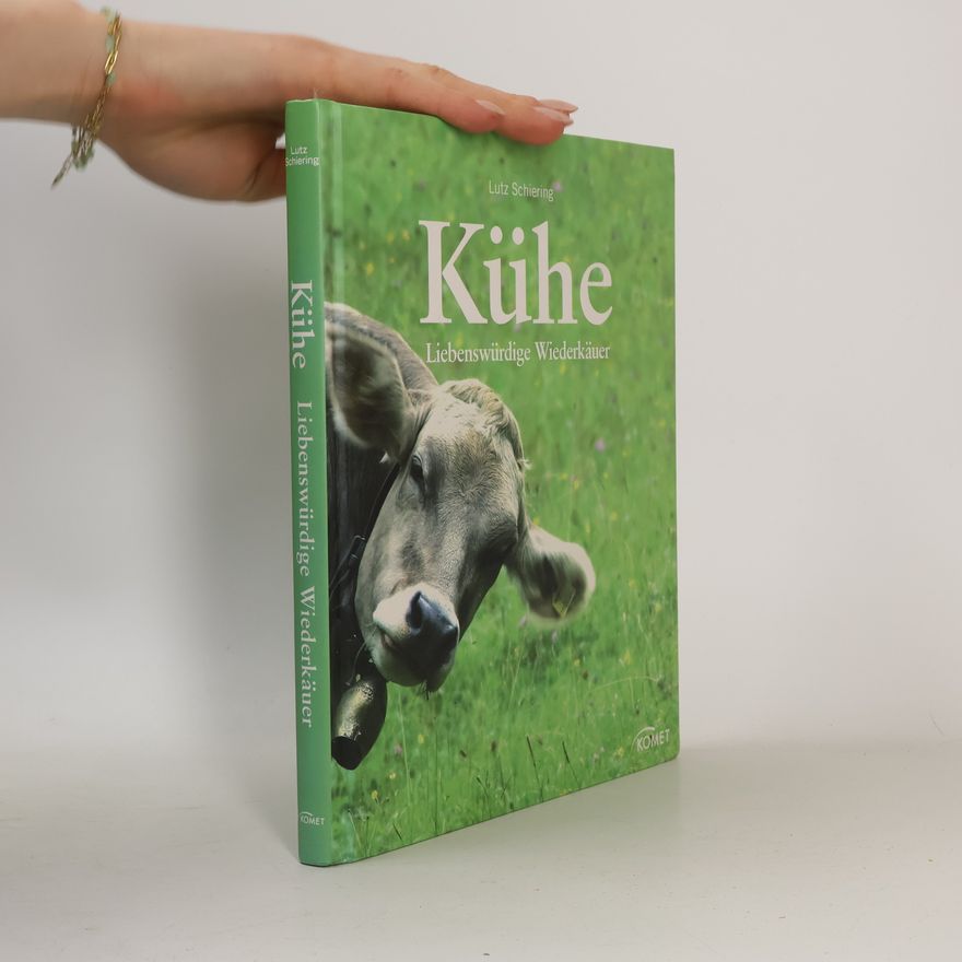 Lutz Schiering Kühe
