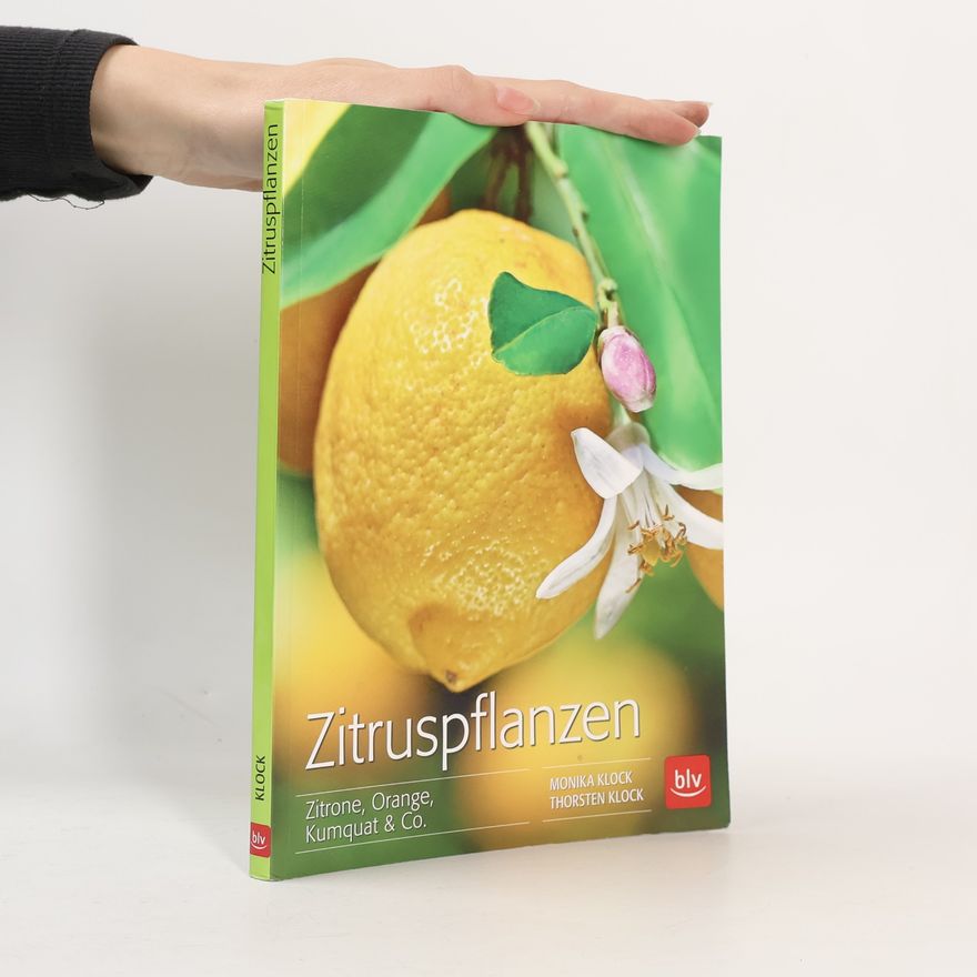 Thorsten Klock BLV Pflanzenpraxis: Zitruspflanzen