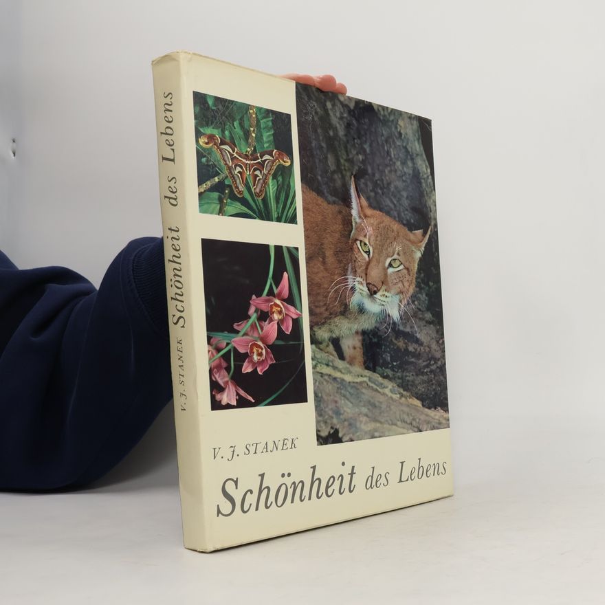 Václav Jan Staněk Schönheit des Lebens
