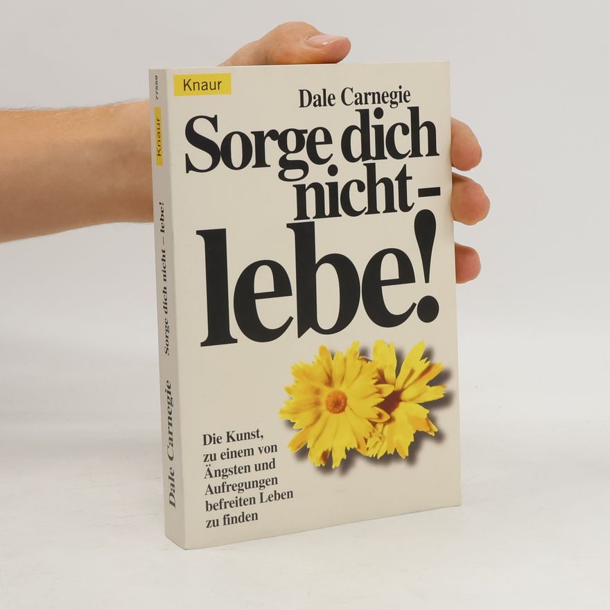 Dale Carnegie Sorge dich nicht - lebe!