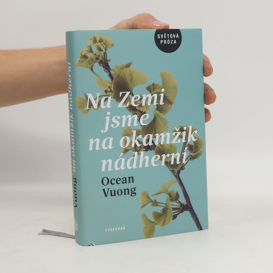 Ocean Vuong Na Zemi jsme na okamžik nádherní