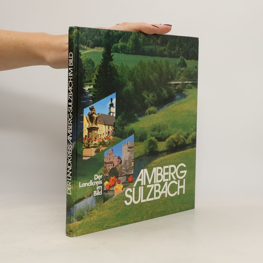 Autorenkollektiv Der Landkreis im Bild. Amberg-Sulzbach