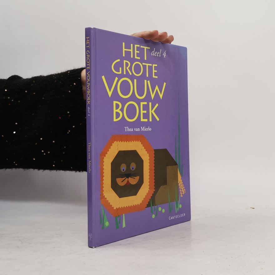 Thea van Mierlo Het grote vouwboek