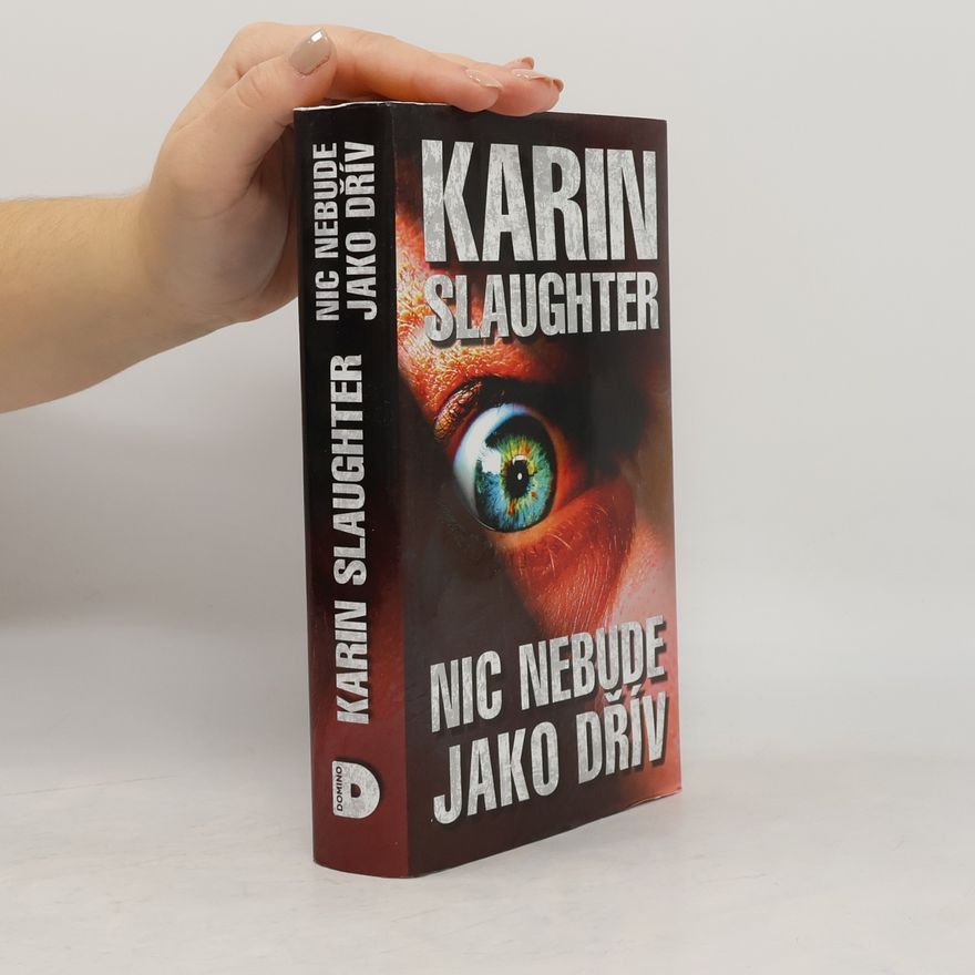 Karin Slaughter Nic nebude jako dřív