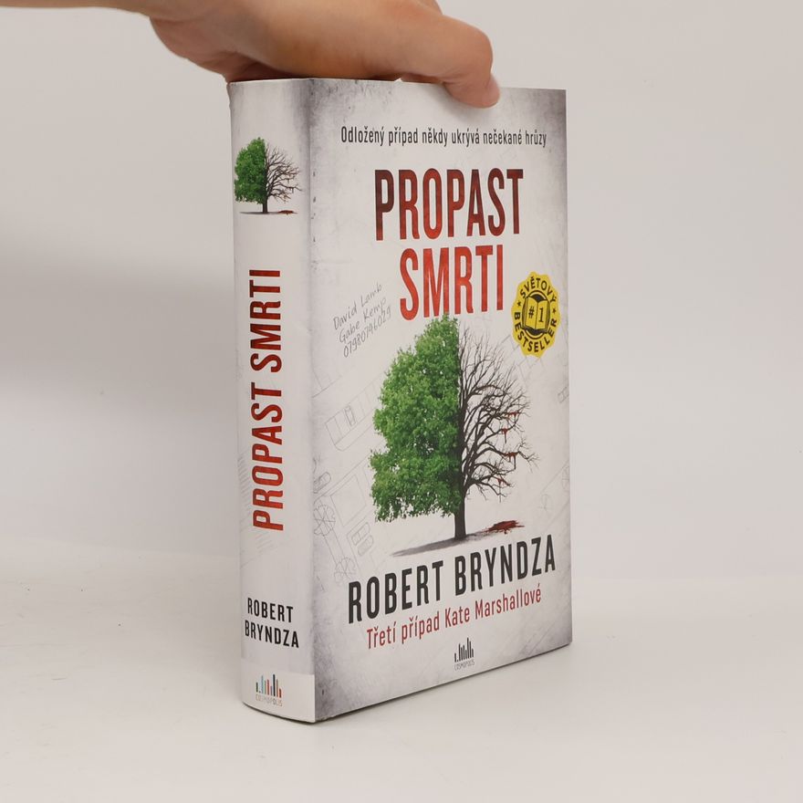 Robert Bryndza Propast smrti