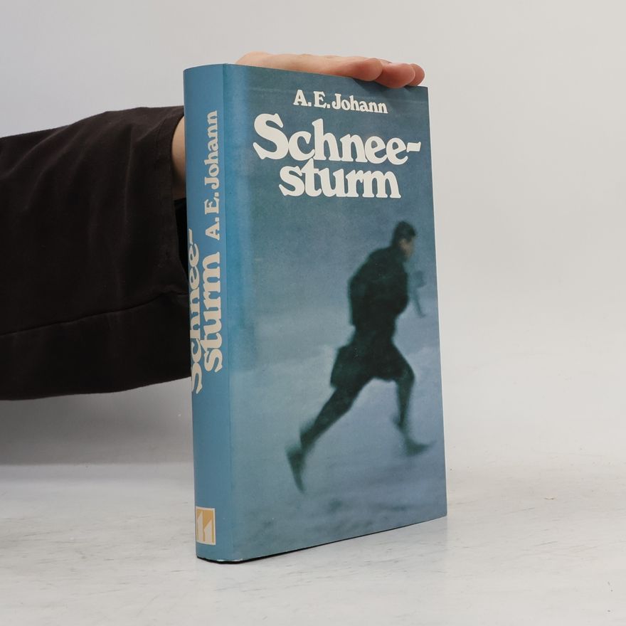 Alfred E. Johann Schneesturm