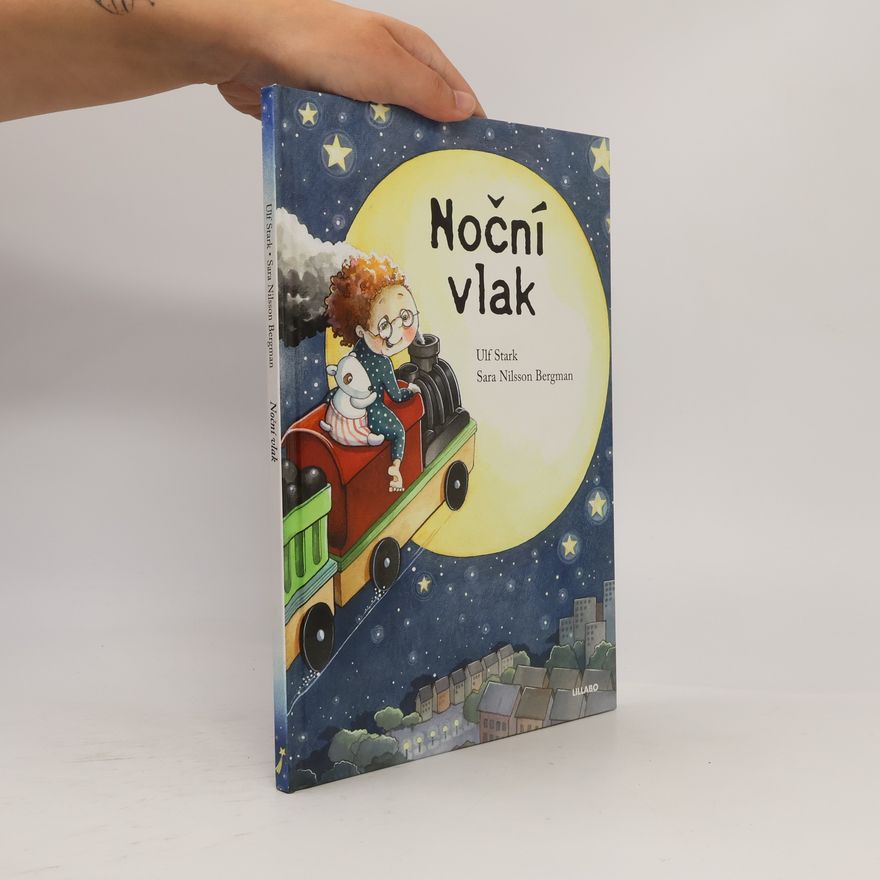 Sara Nilsson Bergman Noční vlak
