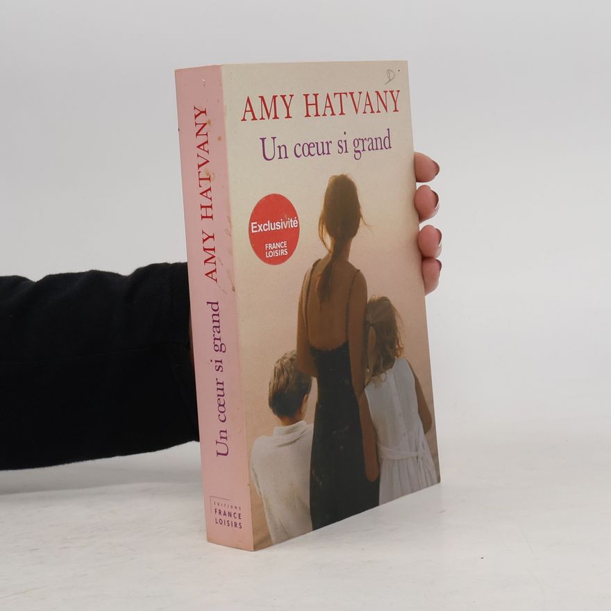 Amy Hatvany Un cœur si grand