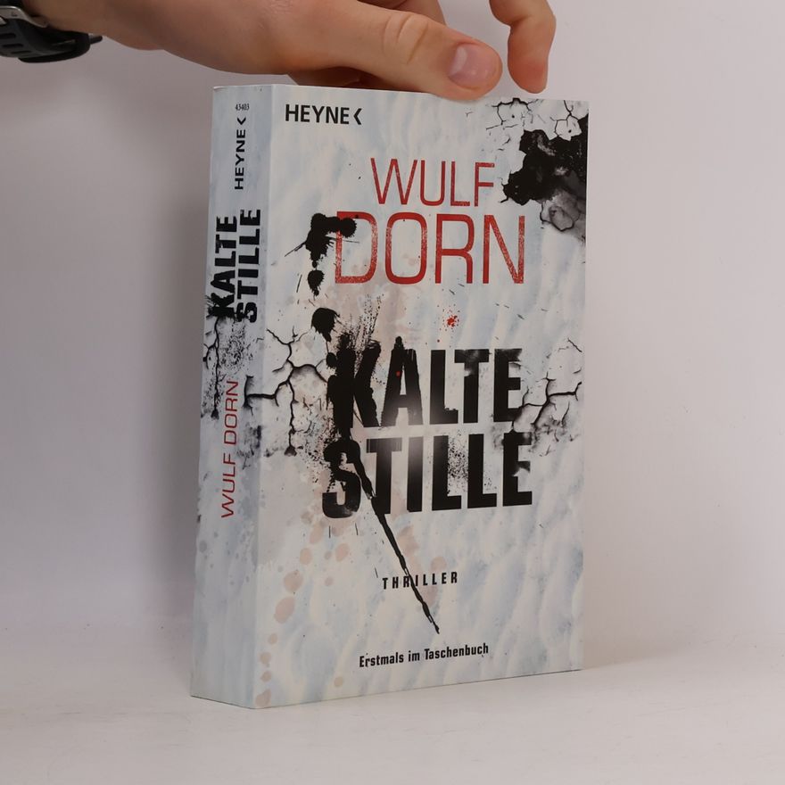 Wulf Dorn Kalte Stille
