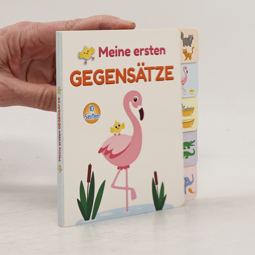 Autorenkollektiv Meine ersten Gegensätze