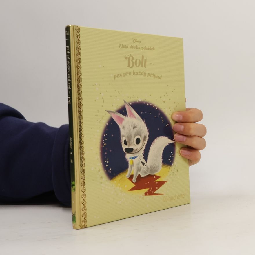 Kolektiv autorů Bolt